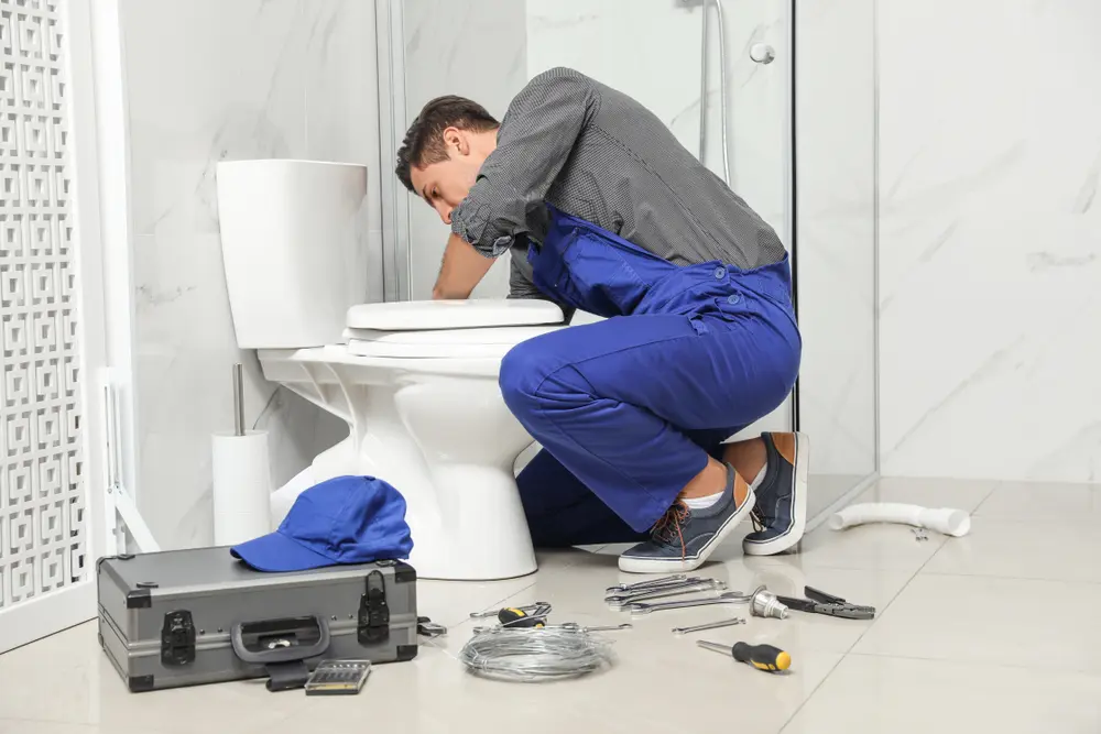 Toilet Installation in Edcouch